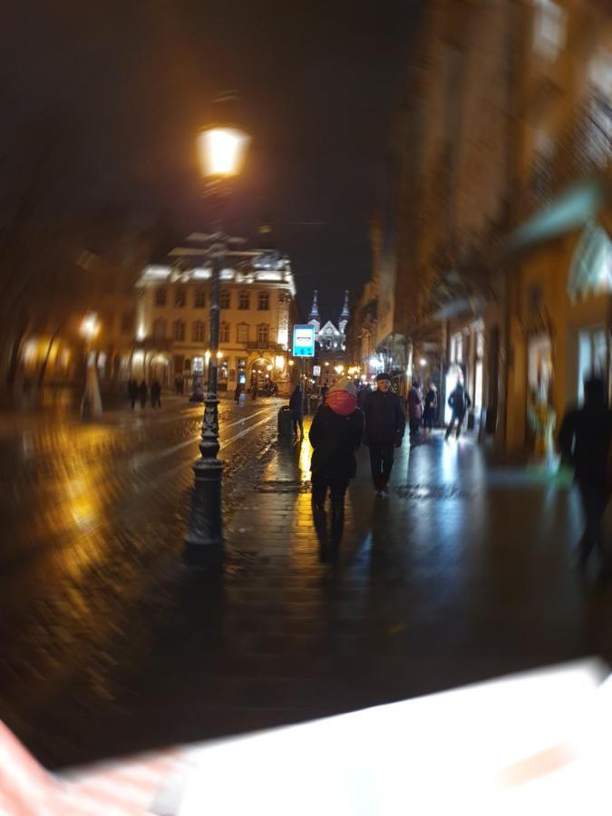Апартаменти У Шевальє. リヴィウ エクステリア 写真